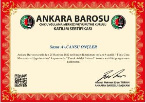 Eskişehir ceza avukatı cansu önçler uyanık