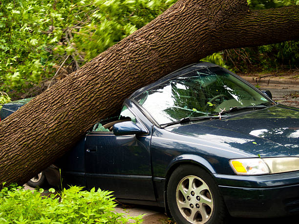 Eskişehir tazminat avukatı sigorta rücu davasında görevli mahkeme